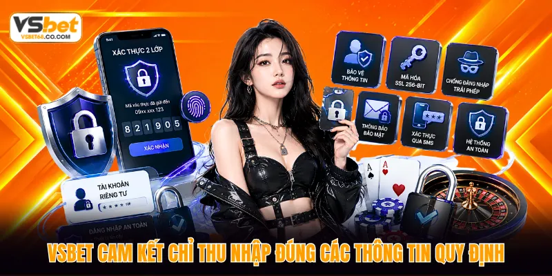 VSBET cam kết chỉ thu nhập đúng các thông tin quy định